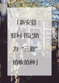 新安县：驻村书记助力“三夏”抢收抢种