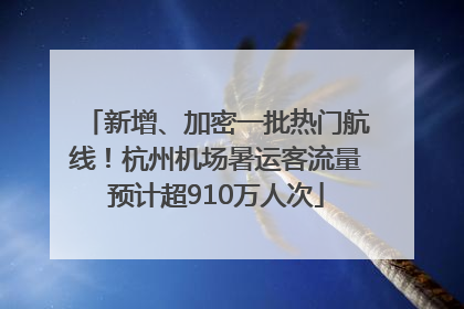 新增、加密一批热门航线！杭州机场暑运客流量预计超910万人次