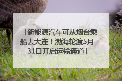 新能源汽车可从烟台乘船去大连！渤海轮渡5月31日开启运输通道