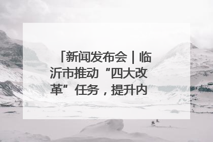 新闻发布会|临沂市推动“四大改革”任务,提升内部审计监督效能
