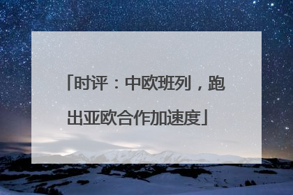 时评：中欧班列，跑出亚欧合作加速度