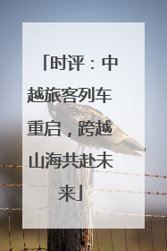 时评：中越旅客列车重启，跨越山海共赴未来