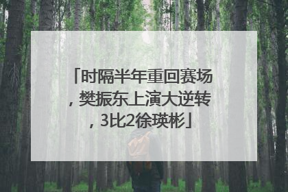 时隔半年重回赛场，樊振东上演大逆转，3比2徐瑛彬