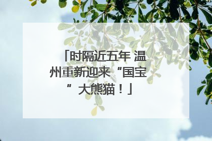 时隔近五年 温州重新迎来“国宝”大熊猫！
