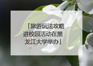 旅游玩法攻略进校园活动在黑龙江大学举办