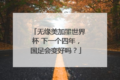 无缘美加墨世界杯 下一个四年，国足会变好吗？