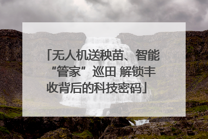 无人机送秧苗、智能“管家”巡田 解锁丰收背后的科技密码