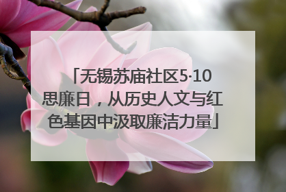 无锡苏庙社区5·10思廉日，从历史人文与红色基因中汲取廉洁力量