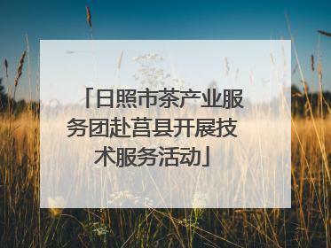 日照市茶产业服务团赴莒县开展技术服务活动