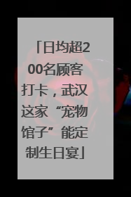 日均超200名顾客打卡，武汉这家“宠物馆子”能定制生日宴
