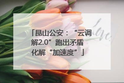 昆山公安：“云调解2.0”跑出矛盾化解“加速度”