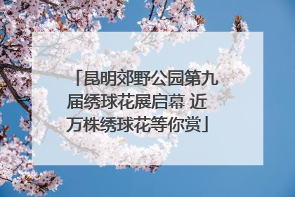昆明郊野公园第九届绣球花展启幕 近万株绣球花等你赏