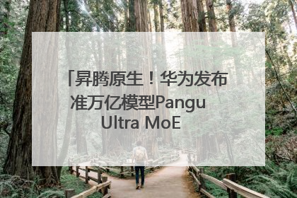 昇腾原生！华为发布准万亿模型Pangu Ultra MoE模型架构和训练细节