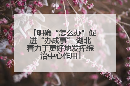 明确“怎么办”促进“办成事” 湖北着力于更好地发挥综治中心作用