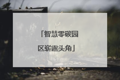 智慧零碳园区崭露头角