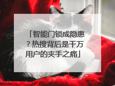 智能门锁成隐患？热搜背后是千万用户的夹手之痛