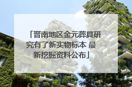 晋南地区金元葬具研究有了新实物标本 最新挖掘资料公布