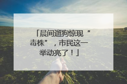 晨间遛狗惊现“毒株”，市民这一举动亮了！