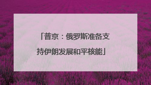 普京：俄罗斯准备支持伊朗发展和平核能