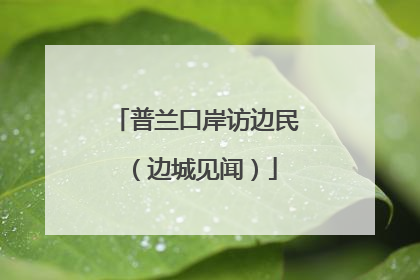 普兰口岸访边民（边城见闻）