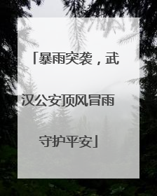 暴雨突袭，武汉公安顶风冒雨守护平安