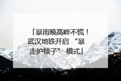 暴雨晚高峰不慌！武汉地铁开启 “暴走护犊子” 模式