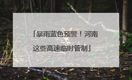 暴雨蓝色预警！河南这些高速临时管制
