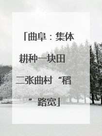 曲阜：集体耕种一块田 二张曲村“稻”路宽