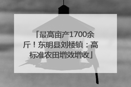 最高亩产1700余斤！东明县刘楼镇：高标准农田增效增收