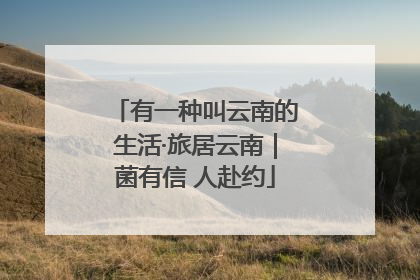 有一种叫云南的生活·旅居云南｜菌有信 人赴约