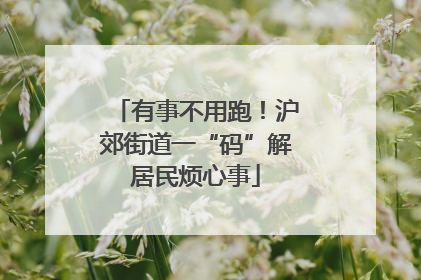 有事不用跑！沪郊街道一“码”解居民烦心事