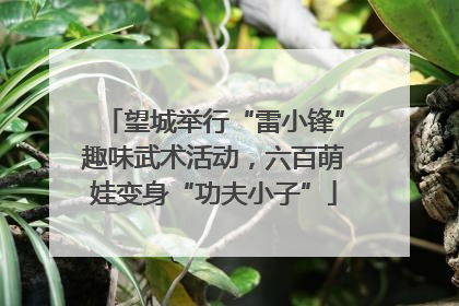望城举行“雷小锋”趣味武术活动，六百萌娃变身“功夫小子”