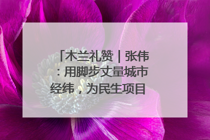 木兰礼赞｜张伟：用脚步丈量城市经纬，为民生项目按下“加速键”