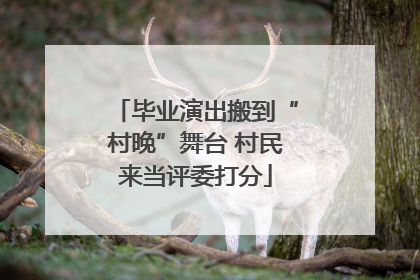 毕业演出搬到“村晚”舞台 村民来当评委打分