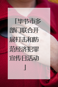 毕节市多部门联合开展打击和防范经济犯罪宣传日活动