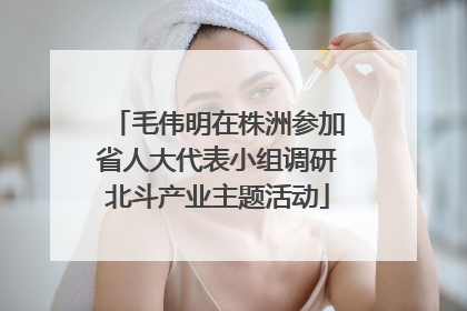 毛伟明在株洲参加省人大代表小组调研北斗产业主题活动