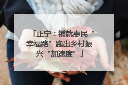 正宁：铺就惠民“幸福路”跑出乡村振兴“加速度”