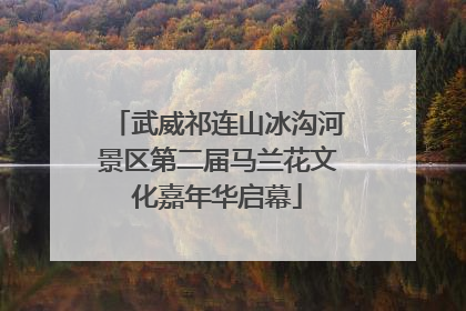 武威祁连山冰沟河景区第二届马兰花文化嘉年华启幕