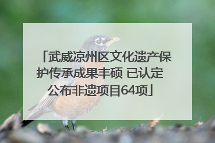 武威凉州区文化遗产保护传承成果丰硕 已认定公布非遗项目64项
