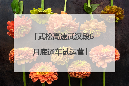 武松高速武汉段6月底通车试运营