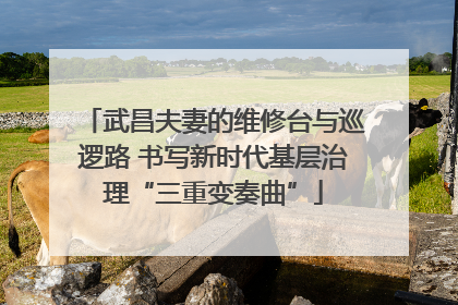 武昌夫妻的维修台与巡逻路 书写新时代基层治理“三重变奏曲”
