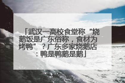 武汉一高校食堂称“烧鹅饭是广东俗称，食材为烤鸭”？广东多家烧鹅店：鸭是鸭鹅是鹅
