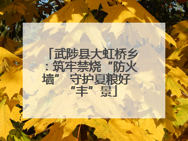 武陟县大虹桥乡：筑牢禁烧“防火墙” 守护夏粮好“丰”景