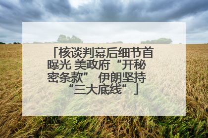 核谈判幕后细节首曝光 美政府“开秘密条款” 伊朗坚持“三大底线”