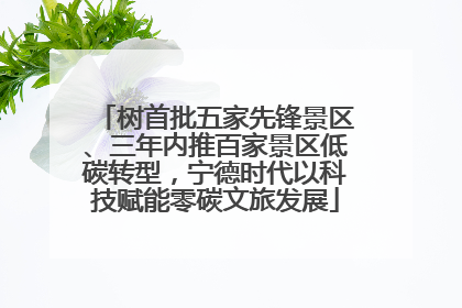 树首批五家先锋景区、三年内推百家景区低碳转型，宁德时代以科技赋能零碳文旅发展