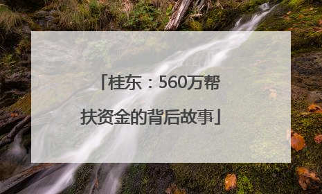 桂东：560万帮扶资金的背后故事