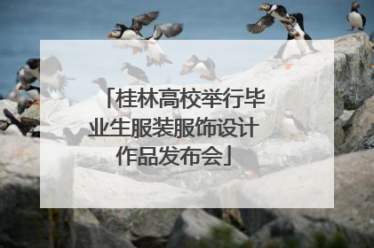 桂林高校举行毕业生服装服饰设计作品发布会