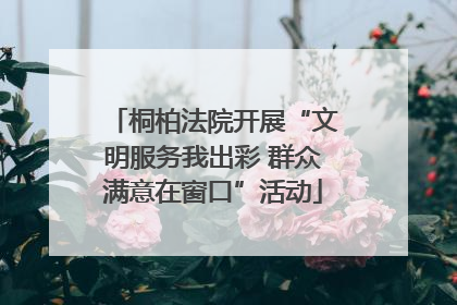 桐柏法院开展“文明服务我出彩 群众满意在窗口”活动