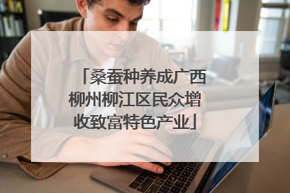 桑蚕种养成广西柳州柳江区民众增收致富特色产业