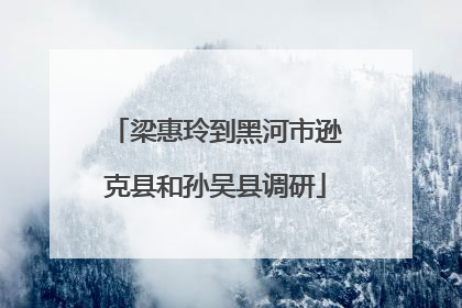 梁惠玲到黑河市逊克县和孙吴县调研